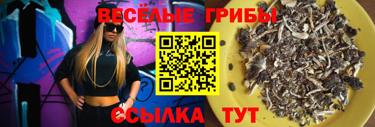 Галлюциногенные грибы Psilocybine cubensis  Галлюциногенные грибы прущие грибы  Полысаево  где купить   Вход с VPN 